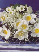 Белые цветы