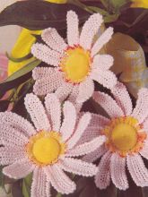 Розовые ромашки