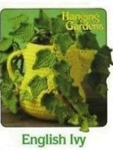 Вязаные цветы - English Ivy