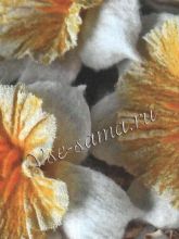 Цветок-брошь - нарцисс, фото