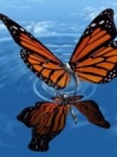 Зеркальное отображение рядов