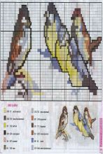 Птичий базар - Схема для вышивания крестиком
