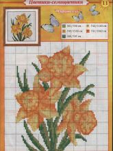 Нарциссы - Схема для вышивания крестиком