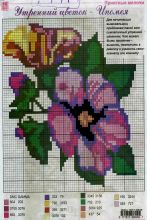 Утренний цветок - Ипомея - Схема для вышивания крестиком