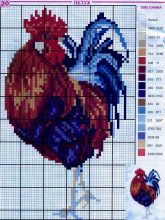 Петух - Схема для вышивания крестиком