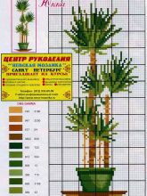 Юкка - Схема для вышивания крестиком