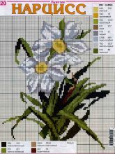 Нарцисс - Схема для вышивания крестиком