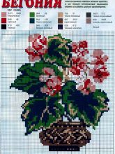 Бегония - Схема для вышивания крестиком