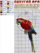 Попугай ара - Схема для вышивания крестиком