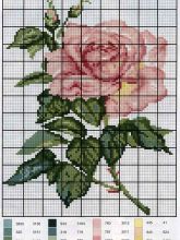 Королева цветов - Схема для вышивания крестиком