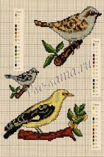 Несколько схем вышивки птиц