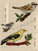 Несколько схем вышивки птиц