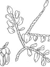 Схема №100 для вышивания лентами