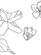 Схема №105 для вышивания лентами