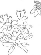 Схема №108 для вышивания лентами