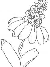 Схема №110 для вышивания лентами