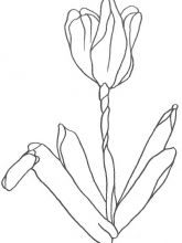 Схема №113 для вышивания лентами