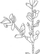 Схема №114 для вышивания лентами