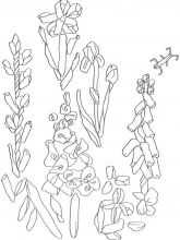 Схема №117 для вышивания лентами