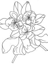 Схема №125 для вышивания лентами