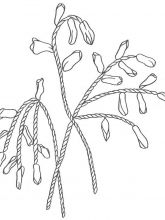 Схема №131 для вышивания лентам