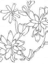 Схема №134 для вышивания лентам