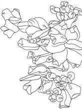 Схема №139 для вышивания лентам