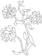 Схема №14 для вышивания лентами