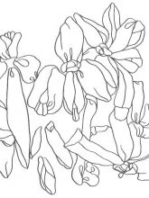 Схема №141 для вышивания лентам