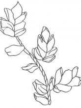 Схема №145 для вышивания лентам