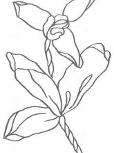 Схема №146 для вышивания лентам