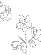 Схема №152 для вышивания лентам