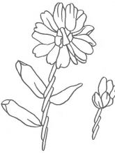 Схема №153 для вышивания лентам