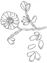 Схема №158 для вышивания лентами