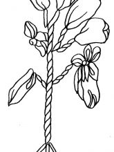 Схема №159 для вышивания лентами