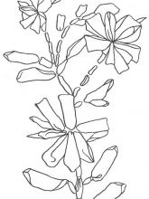 Схема №16 для вышивания лентами