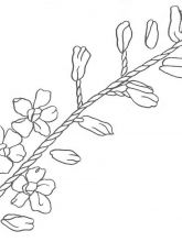 Схема №160 для вышивания лентами