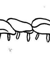 Схема №161 для вышивания лентами