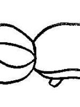 Схема №163 для вышивания лентами