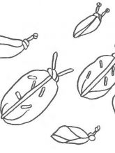 Схема №165 для вышивания лентами