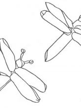 Схема №166 для вышивания лентами