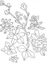 Схема №17 для вышивания лентами