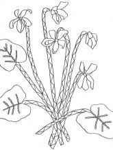 Схема №18 для вышивания лентами