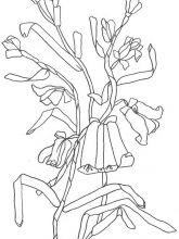Схема №19 для вышивания лентами