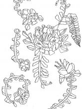 Схема №2 для вышивания лентами