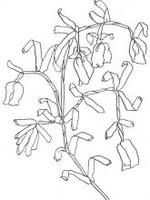 Схема №20 для вышивания лентами