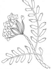 Схема №21 для вышивания лентами