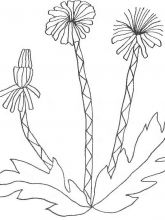 Схема №23 для вышивания лентами