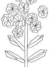 Схема №25 для вышивания лентами