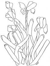 Схема №3 для вышивания лентами